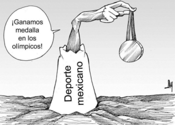 LUY: Conclusiones