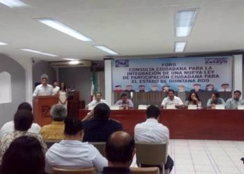Van en busca de la Participación Ciudadana en decisiones de gobierno