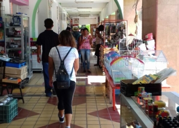 Mercados de Chetumal; naves intransitables