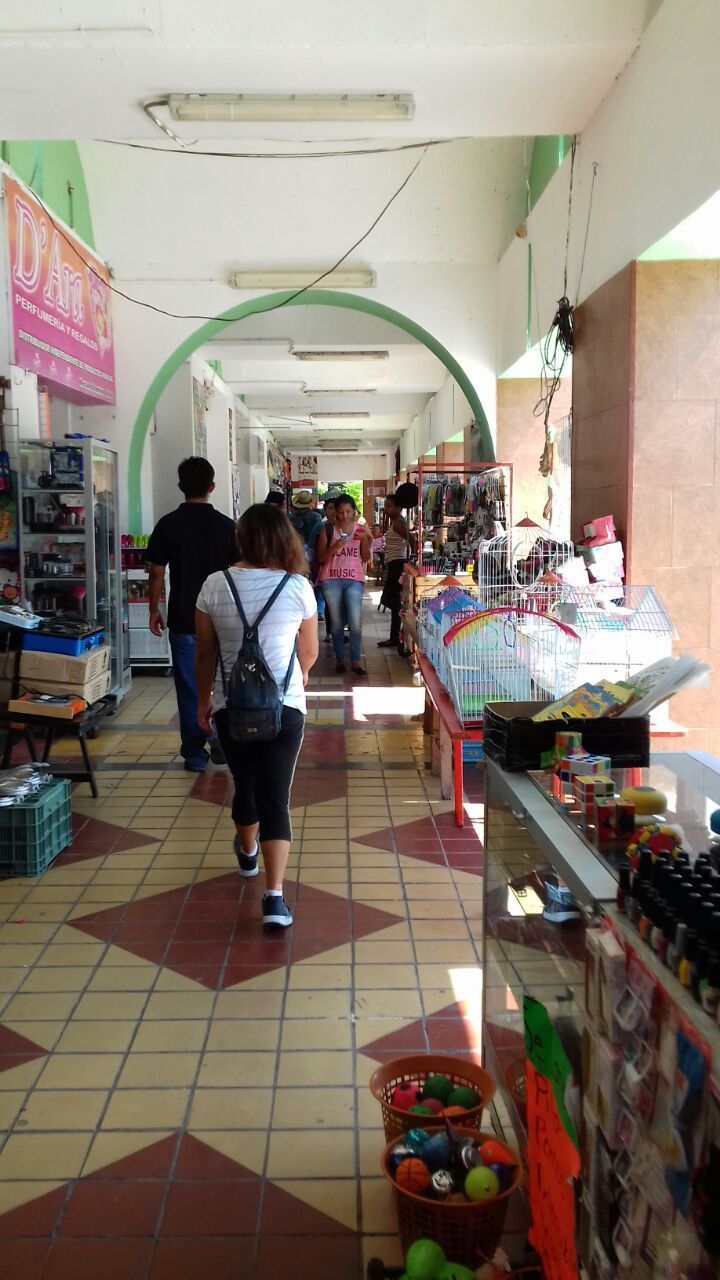 Mercados de Chetumal; naves intransitables