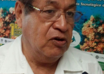 Ausencia de PDU limita inversiones en el sur de Quintana Roo