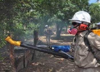 Luchan a marchas forzadas contra enfermedades: Dengue, Zika y Chikungunya