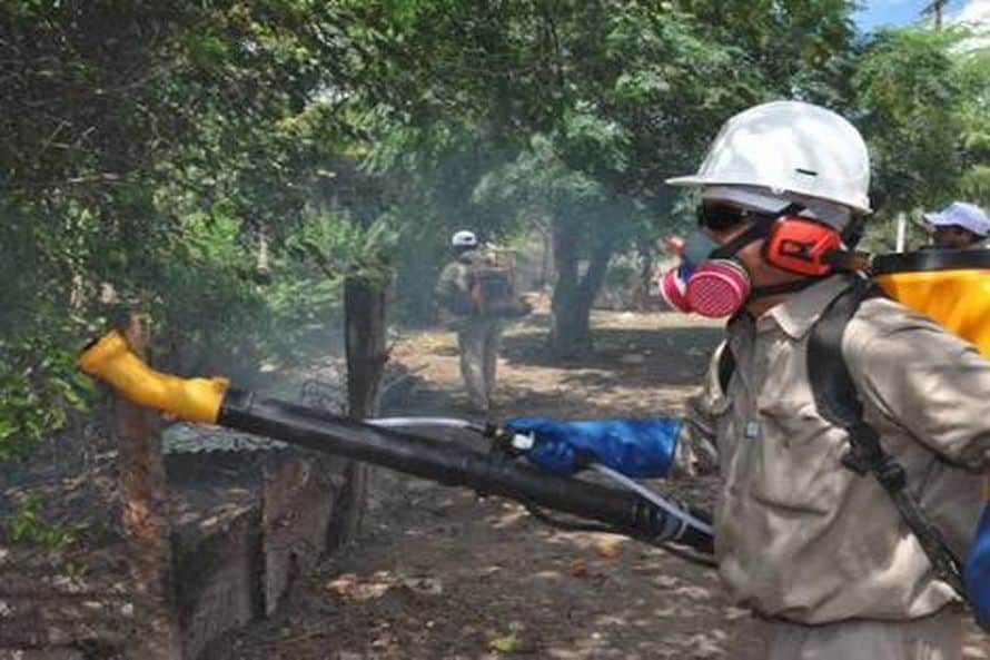 Luchan a marchas forzadas contra enfermedades: Dengue, Zika y Chikungunya