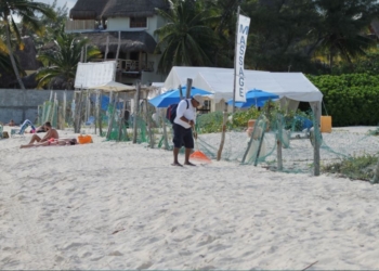 Visitantes disfrutan de playas limpias en Solidaridad