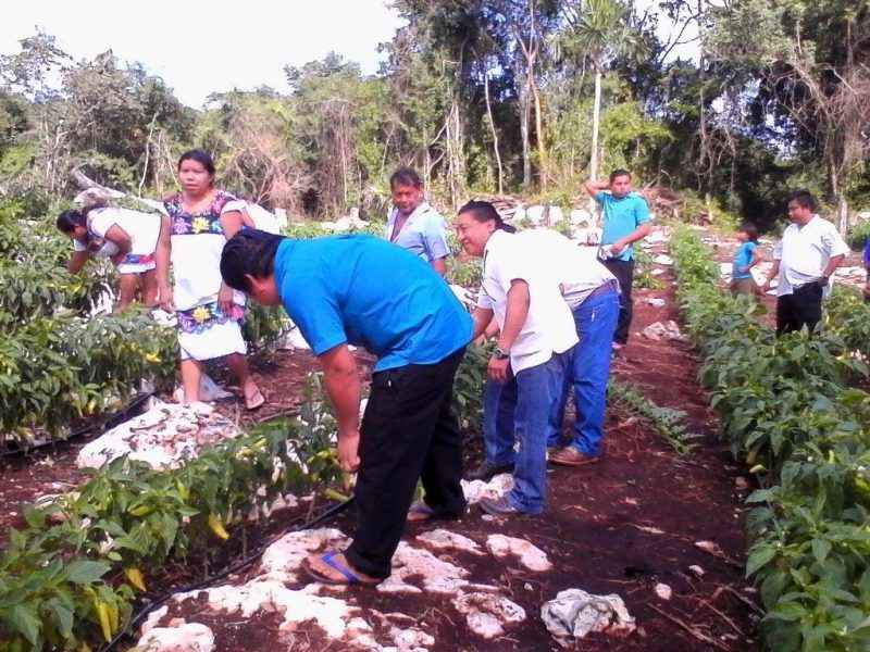 Intensifica CDI ejes de acción en la Zona Maya