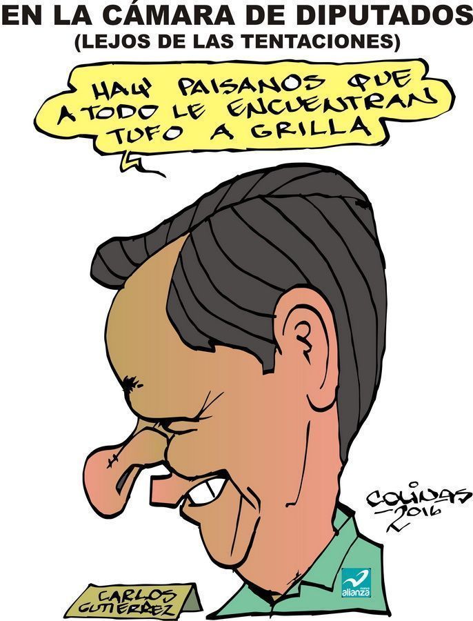 COLINAS: En la cámara de diputados