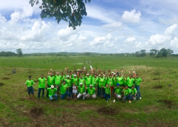 Aeropuerto Internacional de Chetumal reforesta predio con 15 mil árboles
