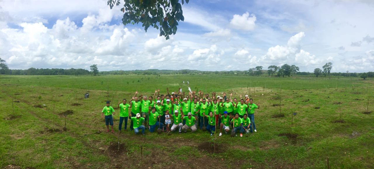 Aeropuerto Internacional de Chetumal reforesta predio con 15 mil árboles