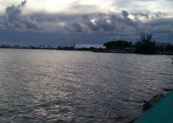 Buscan tiburones y peces sierra en la Bahía de Chetumal