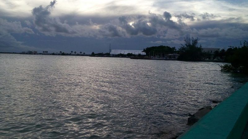 Buscan tiburones y peces sierra en la Bahía de Chetumal