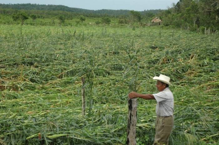 Sueño Americano causa abandono en el campo quintanarroense