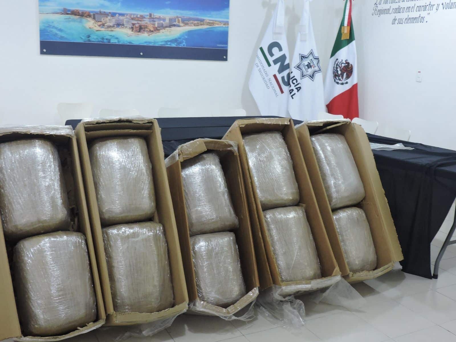 Asegura Policía Federal 95 kilos de marihuana en empresa de paquetería