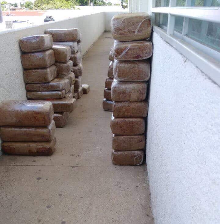 Policía ministerial asegura 200 kilogramos de marihuana