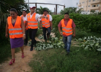 Inician los trabajos de reparación de la palapa del parque “Las Iguanas”