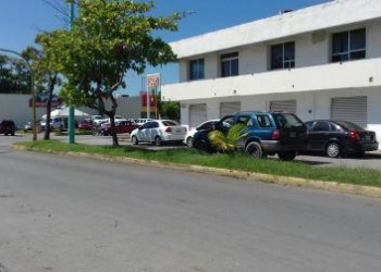 Contratan eventuales para embellecer Chetumal