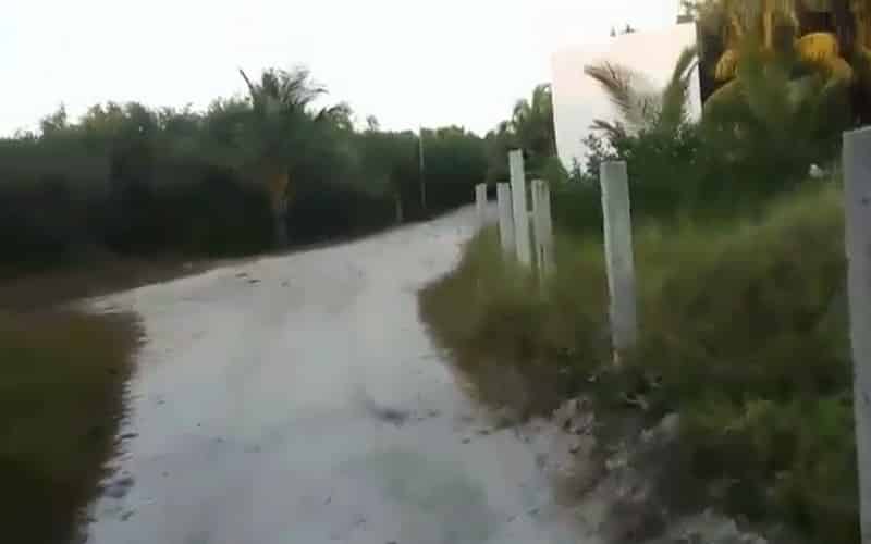 Video: exigen al alcalde Emilio Jiménez, frenar depredación al entorno natural de Holbox