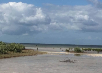 Llamado del ayuntamiento de isla mujeres para la protección del ecosistema de la laguna Chacmuchuch