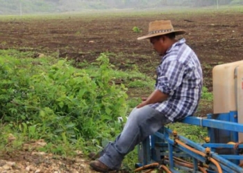 Constituirán Congreso Agrario Permanente en Quintana Roo