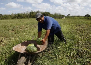 Impulso a Proyectos Productivos, con riesgo de desaparecer