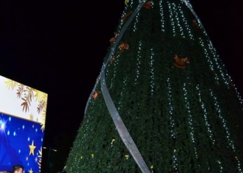 Inicia festival y encendido del árbol Navideño en el Parque de las Casitas