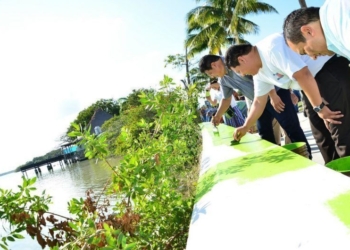 Rescate de la imagen del Boulevard de Chetumal