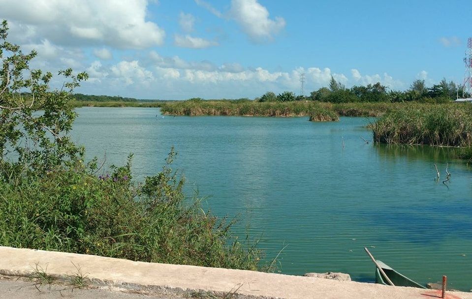 Cocodrilo mordelon, saborea el glúteo a un pescador y al otro el brazo