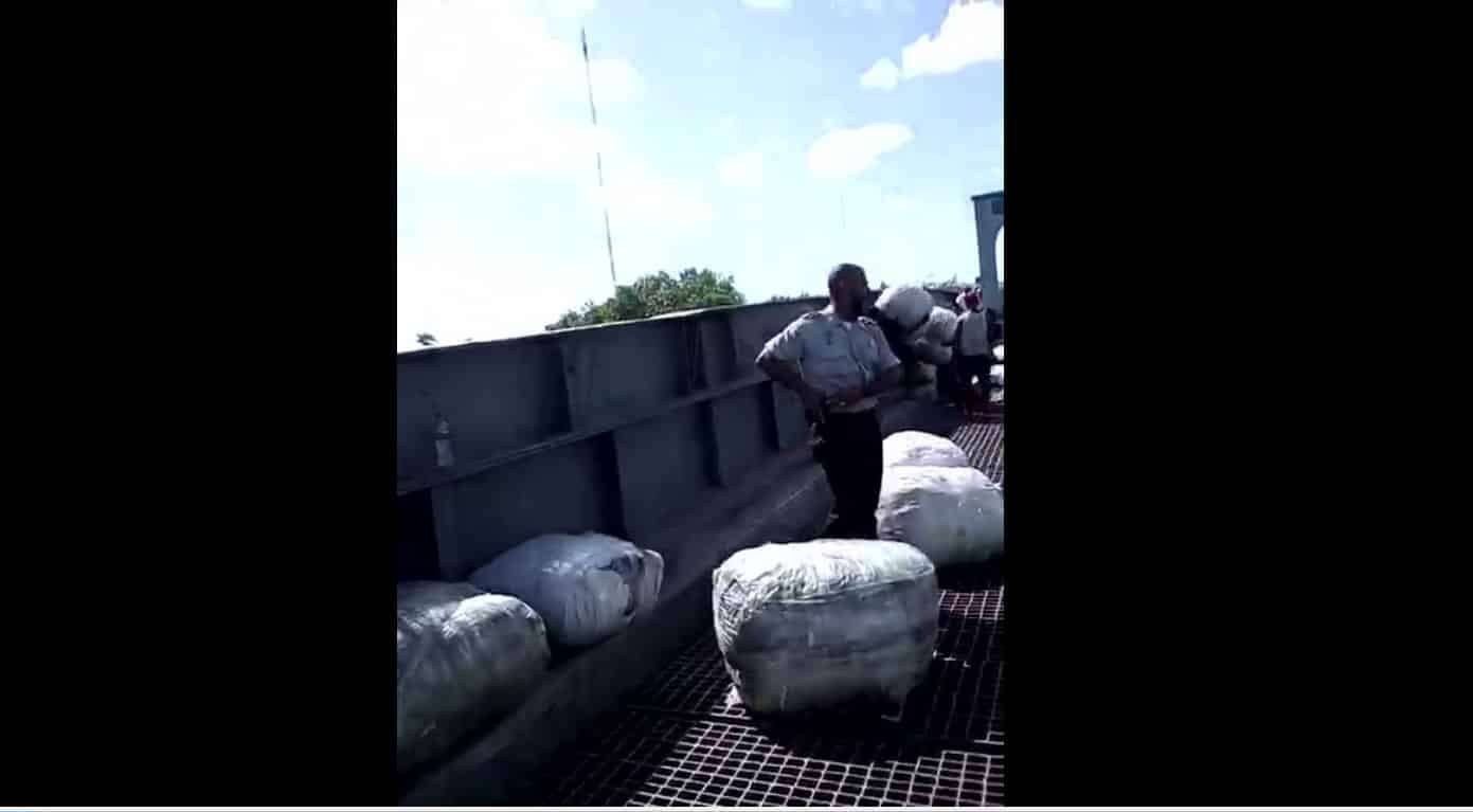 VIDEO: Fayuqueros se enfrentan contra elementos de seguridad de la Zona Libre de Belice