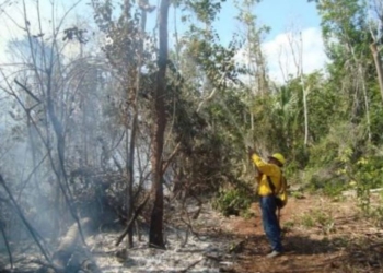 Reportan en Rio Verde, Bacalar, primer incendio forestal de la temporada 2017