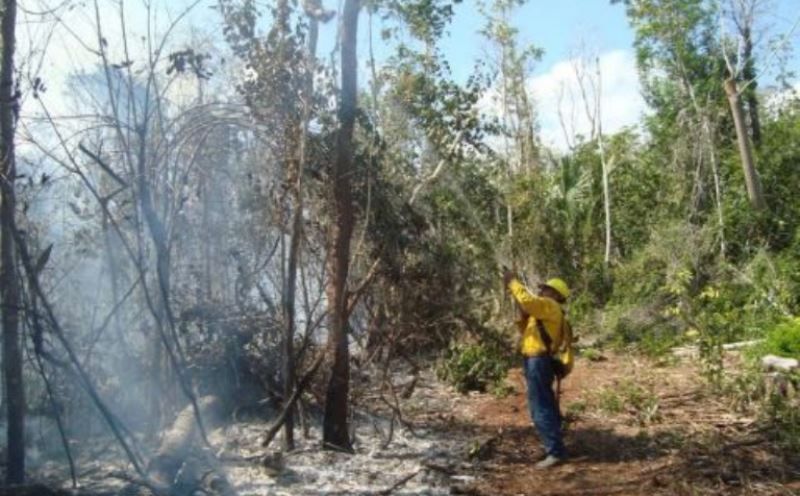 Reportan en Rio Verde, Bacalar, primer incendio forestal de la temporada 2017