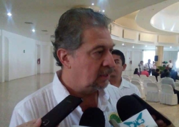 La SEMA, a ciegas ante la tala clandestina que impacta a Quintana Roo