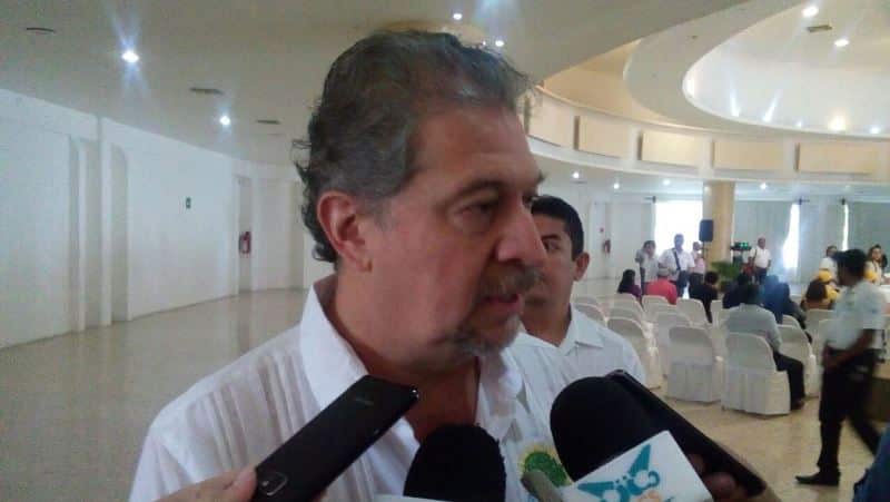 La SEMA, a ciegas ante la tala clandestina que impacta a Quintana Roo