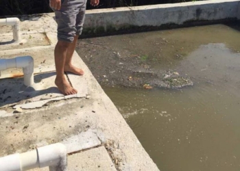 Colapsado, drenaje sanitario de Holbox