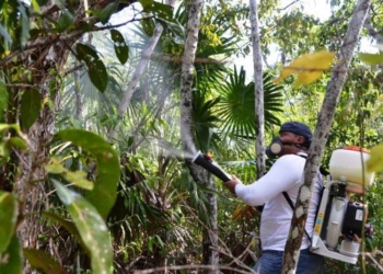 Estatus fitozoosanitario de Quintana Roo continúa bajo riesgo