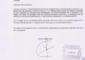 Presenta Arlet Mólgora Punto de Acuerdo para solicitar estímulos fiscales como en el norte del pais