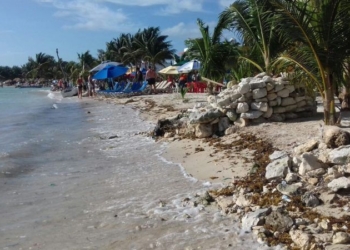 Sargazo empieza amenazar las costas de Mahahual