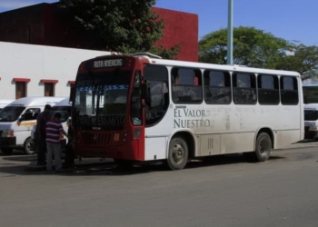 Empresas de transporte urbano hacen ‘fuchi’ a Chetumal