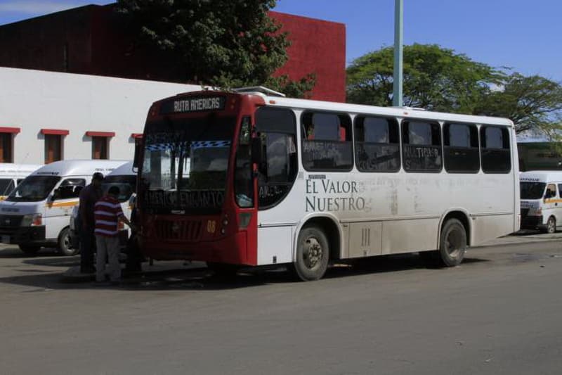 Empresas de transporte urbano hacen ‘fuchi’ a Chetumal