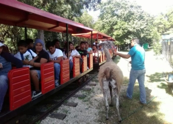 Todo listo para celebrar el 37 Aniversario del Zoológico de Chetumal