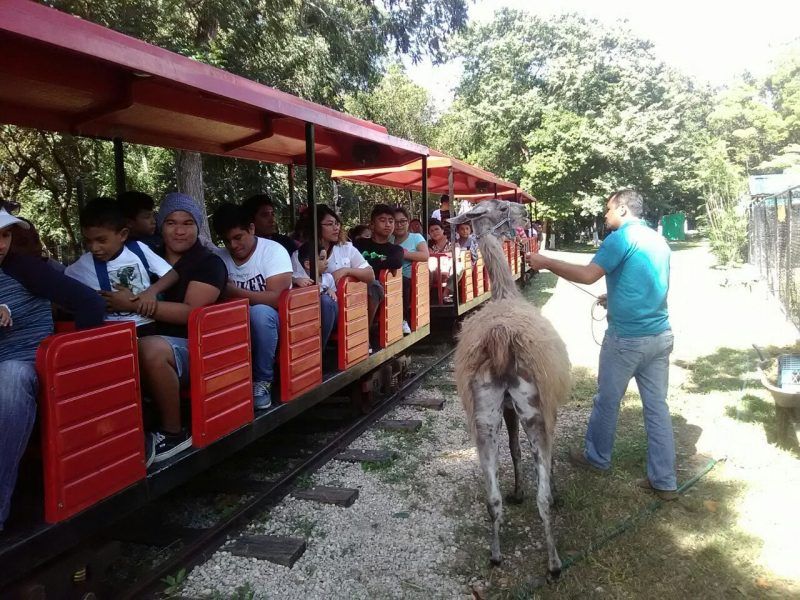 Todo listo para celebrar el 37 Aniversario del Zoológico de Chetumal