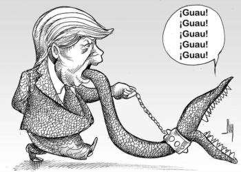 LUY: No para de ladrar