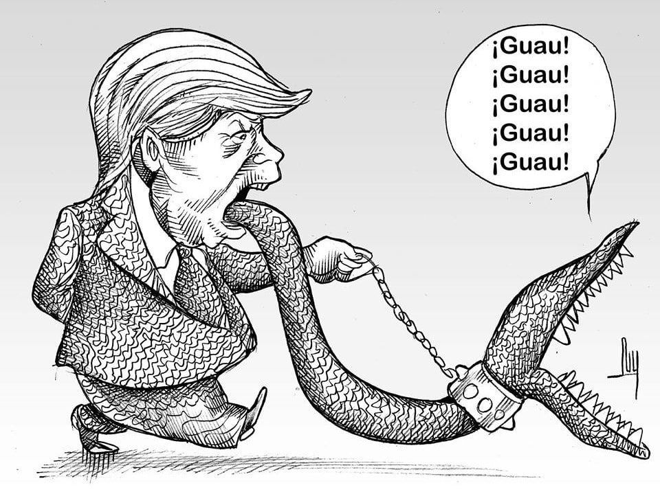LUY: No para de ladrar