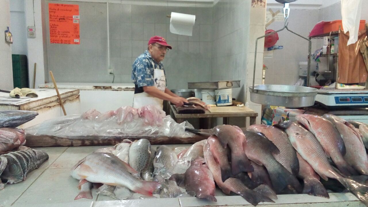 Pescaderías esperan que se levante la veda de caracol rosado
