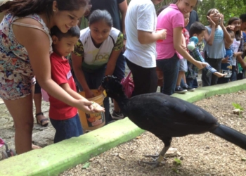 Incrementa número de visitantes en Zoológico Payo Obispo
