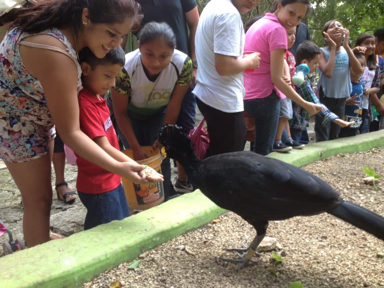 Incrementa número de visitantes en Zoológico Payo Obispo