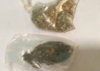 Aseguran droga en cateo a vivienda de Bacalar