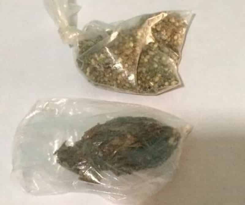 Aseguran droga en cateo a vivienda de Bacalar