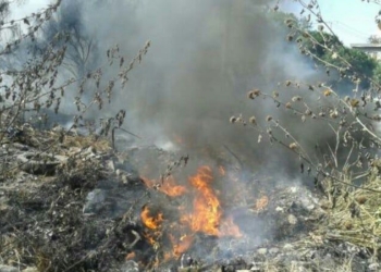 Incendio de lote baldio pone «los nervios de punta» a vecinos