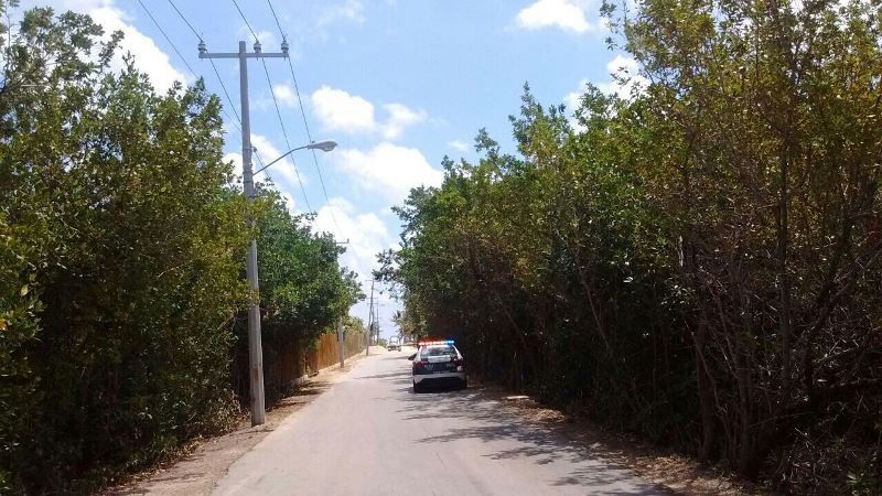 Levantan A Vendedor Ambulante