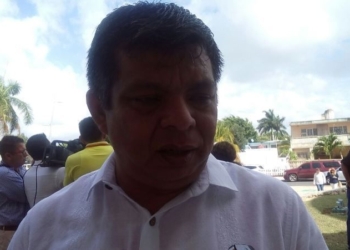 Presume Panal poder ir solo en elecciones de 2108