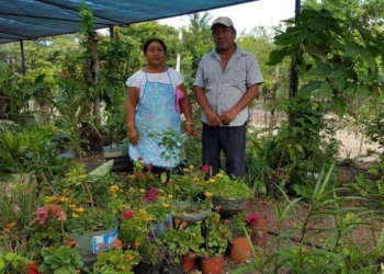 Productores de viveros de Lázaro Cárdenas luchan por fuentes de comercialización
